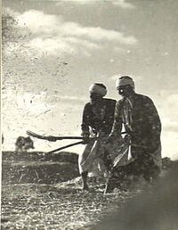 Farmers near Bayt Jirja threshing wheat in 1940