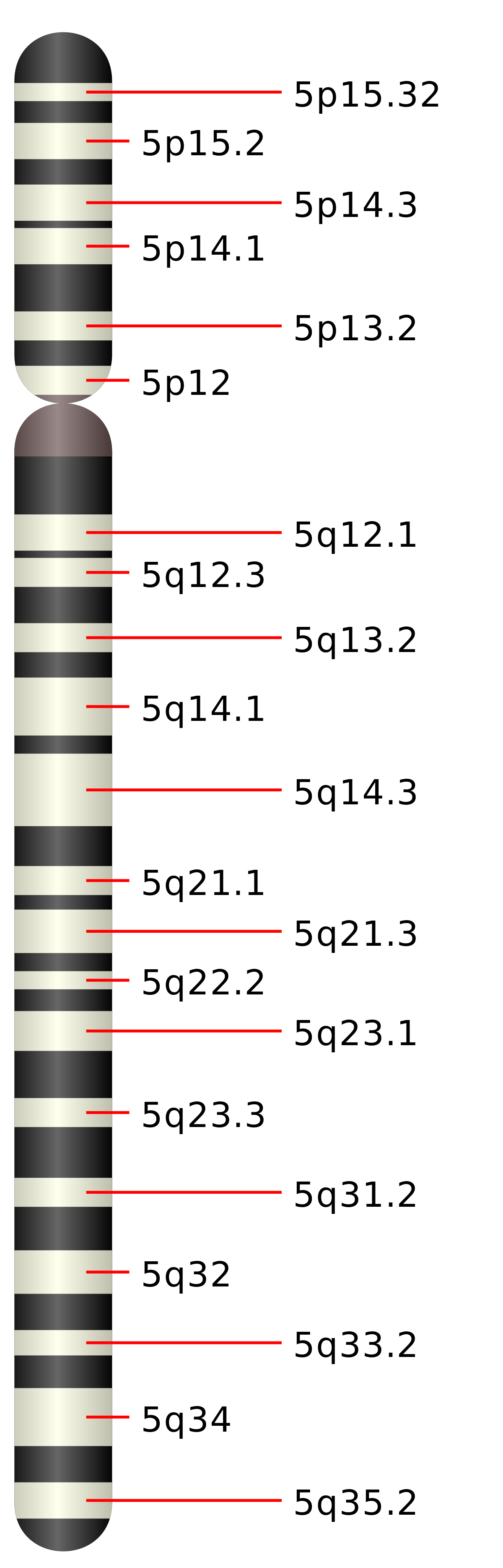 wikipedia chromosome 5