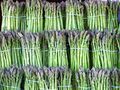 Asparagus for sale.