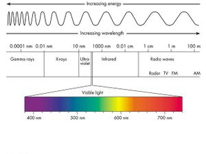 Light EM Spectrum color.jpg