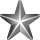 Silver-service-star-3d.svg