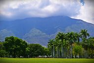 Day view of El Avila National Park from Parque del Este