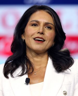 Tulsi Gabbard (53807900722) (cropped).jpg