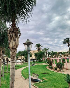 Zarqtouni garden, Sidi Bennour.jpg