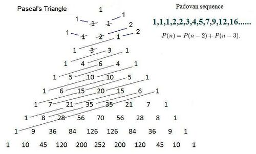 Padovan Sequence 2.jpg