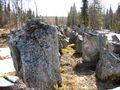 The Salpa Line anti-tank obstacles in Aholanvaara