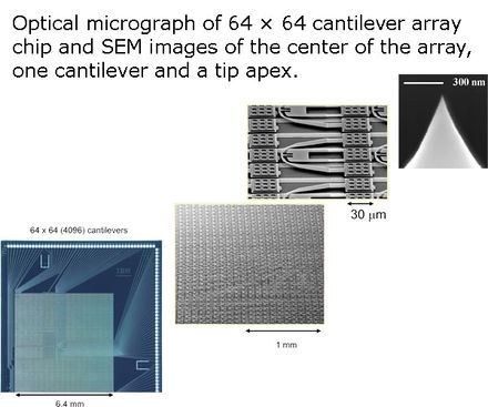 64 64 array chip.jpg