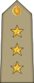 09.AlgA-CAPT.svg