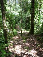 Trail to Eladio Refuge.