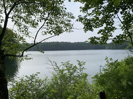 Walden Pond outlook.jpg