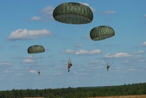 US Army 52231 "Airborne" in five languages 6.jpg