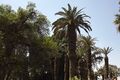 Orman garden - Cairo By Hatem Moushir 1.jpg