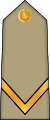 03.AlgA-SGT.svg