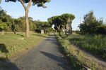 Roman road, trees and plants around