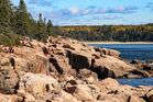 Shoreline between Gorham Mountain trailhead and Sand Beach (6598fb47-208e-4940-a5fa-8f8b000b14ee).jpg