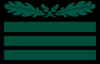 SS-Hauptsturmführer-camo.svg