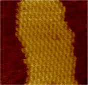 The assembly of a DX array. Left, schematic diagram. Each bar represents a double-helical domain of DNA, with the shapes representing complementary sticky ends. The DX complex at top will combine with other DX complexes into the two-dimensional array shown at bottom.[2] Right, an atomic force microscopy image of the assembled array. The individual DX tiles are clearly visible within the assembled structure. The field is 150 nm across.