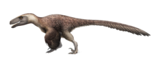 Utahraptor Restoration.png