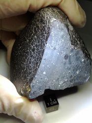 MarsMeteorite-NWA7034-716969main black beauty full.jpg