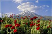 Damavand Peak - Amol city.jpg