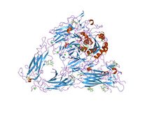 PDB 1jv2 EBI.jpg