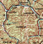 Panther rosette stream pattern.gif