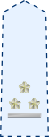 JASDF Captain insignia (a).svg