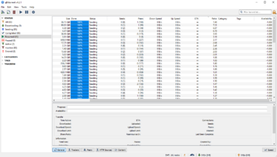 An image of a qbittorrent interface; a popular torrenting program due to its free and open-sourced design.