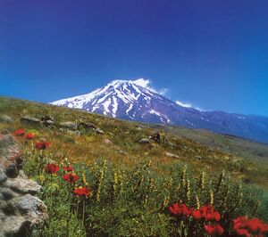 Damavand Arad.jpg