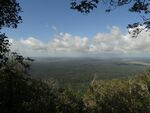 View of vast forested landscape.