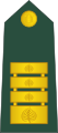 Polkovnikcode: sl is deprecated [19] (Slovenian Ground Force)