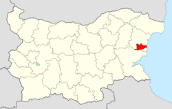 Dolni Chiflik Municipality within Bulgaria and Varna Province.