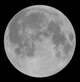 Penumbral lunar eclipse Aug 6 2009 John Walker.gif