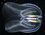 Comb jelly 2.jpg