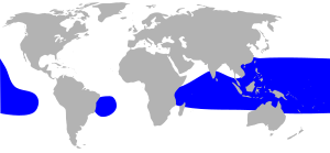 Lesser frigatebird (Fregata ariel) distribution map HBW.svg