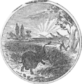 Seal of Indiana (1856–1863)