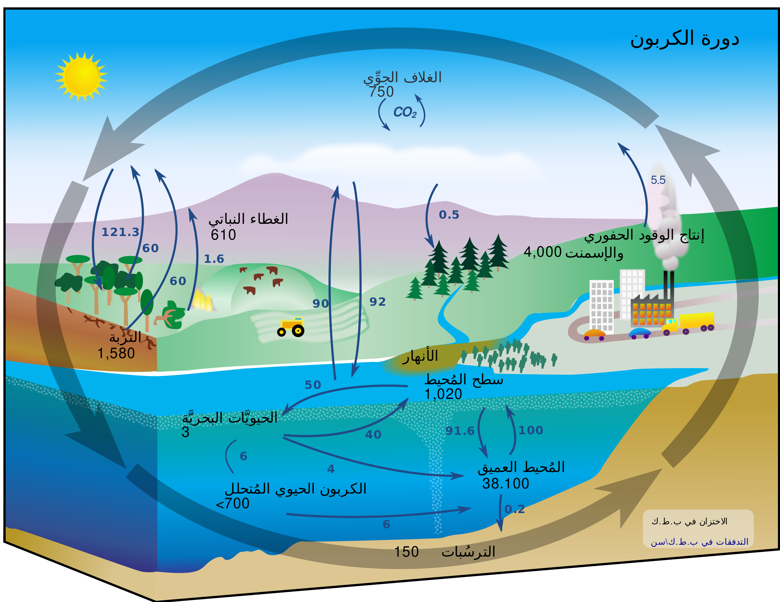 Carbon Cycle Diagram And Analysis Questions Answers