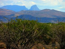 Juigalpa Landscape.jpg