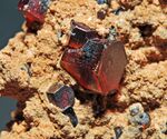 Vanadinite, goethite 5.jpg