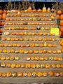 Painted mini pumpkins on display in Ottawa, كندا