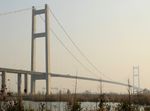 Bushes in Runyang Bridge Park.JPG