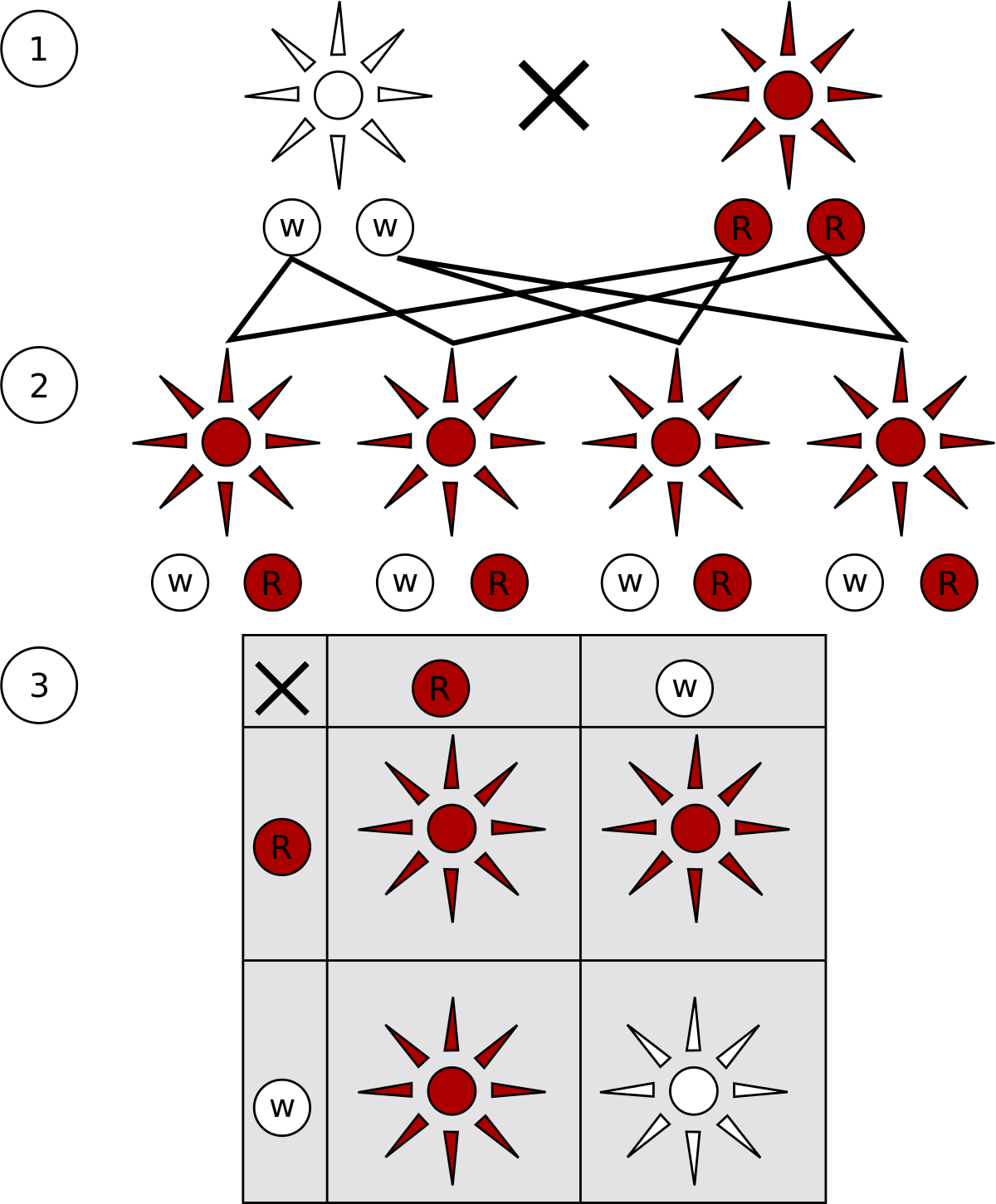 ملف Mendelian Inheritance Svg المعرفة