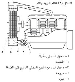 3717-2.jpg